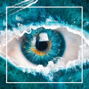 7. Программа Удивительный Мир Дианы Макеевой